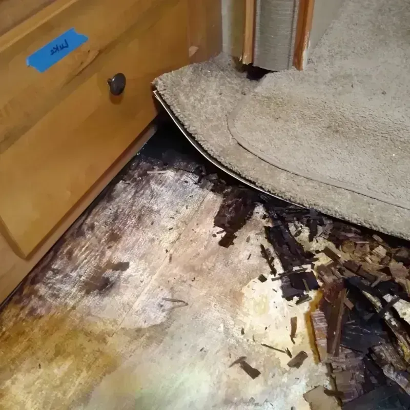 Wood Floor Water Damage in Hays County, TX